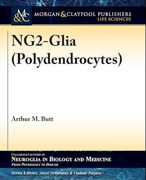 Ng2-Glia (Polydendrocytes)