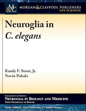 Neuroglia in C. elegans