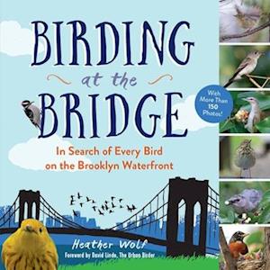 Birding at the Bridge