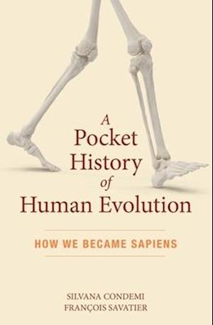 A Pocket History of Human Evolution