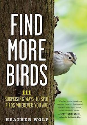 108 Ways to Find More Birds