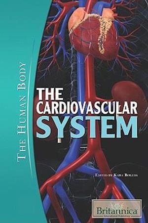 The Cardiovascular System