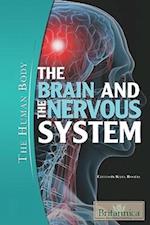 The Brain and the Nervous System