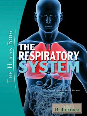 Respiratory System