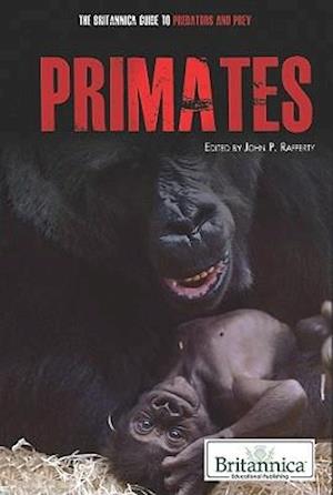 Primates