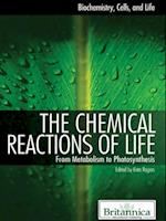 Chemical Reactions of Life