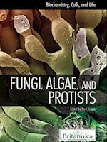 Fungi, Algae, and Protists