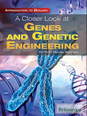 Closer Look at Genes and Genetic Engineering