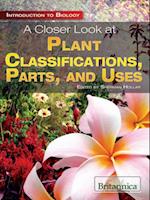 Closer Look at Plant Classifications, Parts, and Uses