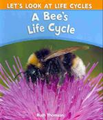 A Bee's Life Cycle
