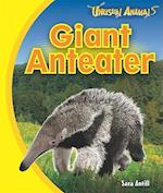 Giant Anteater