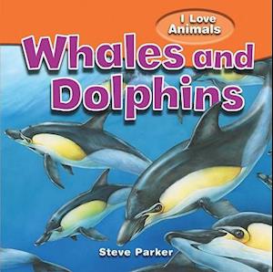 Whales and Dolphins