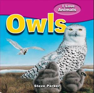 Owls