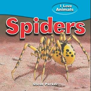 Spiders