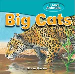 Big Cats