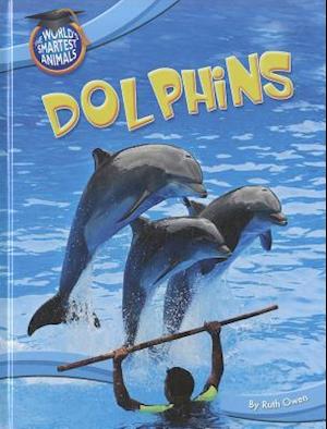 Dolphins