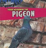 Your Neighbor the Pigeon