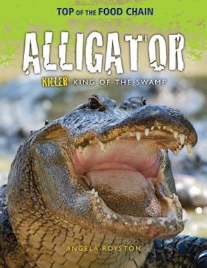 Alligator