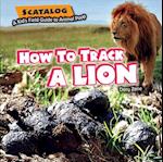 How to Track a Lion