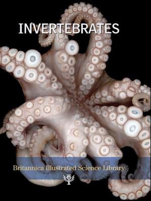 Invertebrates