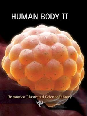 Human Body II