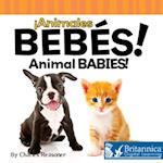 Animales bebes (Animal Babies)