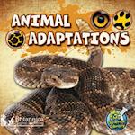 Animal Adaptations