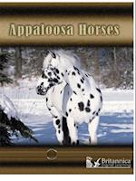 Appaloosa Horses