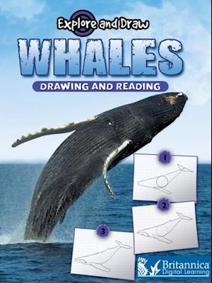 Whales