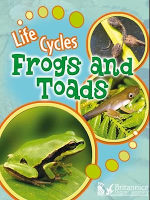 Frogs and Toads