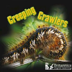 Creeping Crawlers