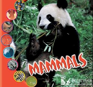 Mammals