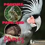 Pouches, Pads, and Plumes