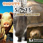 Snouts, Spines, and Scutes