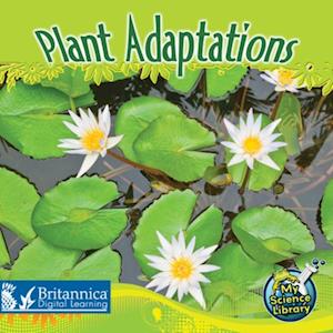 Plant Adaptations