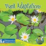 Plant Adaptations