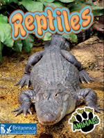 Reptiles