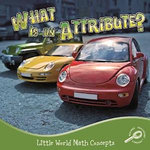 What Is an Attribute?