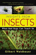 Insights From Insects