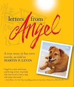 Letters from Angel