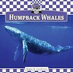 Humpback Whales