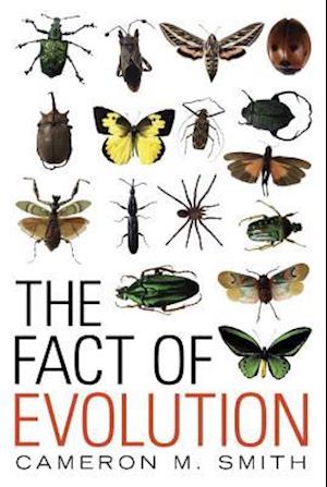 The Fact of Evolution