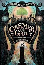 Carmer and Grit, Book One: The Wingsnatchers