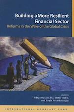 Building a More Resilient Financial Sector