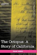 The Octopus