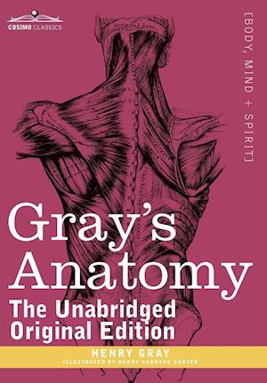 Gray's Anatomy