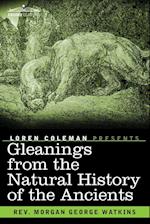 Gleanings from the Natural History of the Ancients