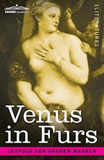 Venus in Furs