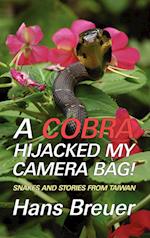 A Cobra Hijacked My Camera Bag! Snakes and Stories from Taiwan