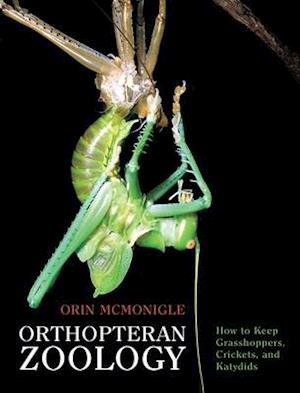 Orthopteran Zoology